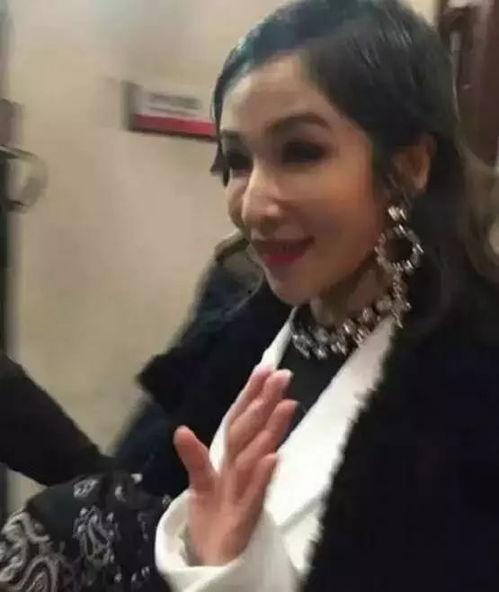 娱乐圈吃瓜王心凌是谁,揭秘明星幕后故事