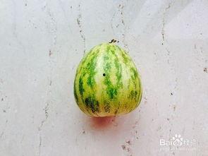 不吹不黑文明吃瓜