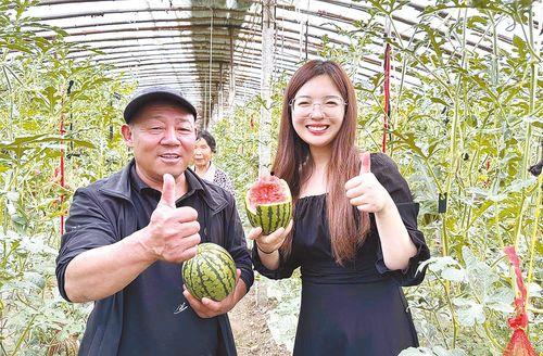 今日2k吊瓜价格,今日行情一览”