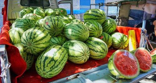 河北今日吃瓜事件真相,揭秘背后真相与网络舆论的反思