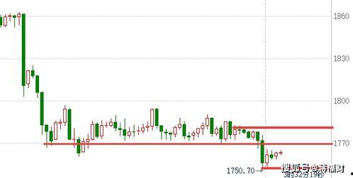 今日小吊瓜行情走势分析,涨跌波动背后的市场解析