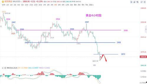 瓠瓜今日行情走势图,今日走势解析