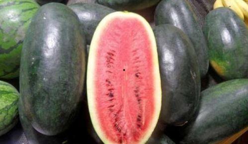 黑料吃瓜appios,揭秘娱乐圈幕后真相，iOS版全新上线！