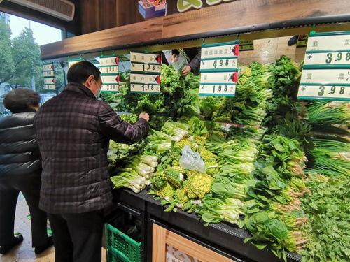 万邦今日吊瓜报价,行情波动，市场动态一览
