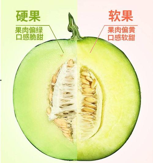 静冈蜜瓜今日价格表,品质之选，价格实况速览