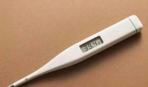 酒店吃瓜最新事件爆料是真的吗,最新爆料真相揭秘