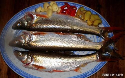 什么鱼吃黑蜜瓜最好吃呢,黑蜜瓜的完美搭档