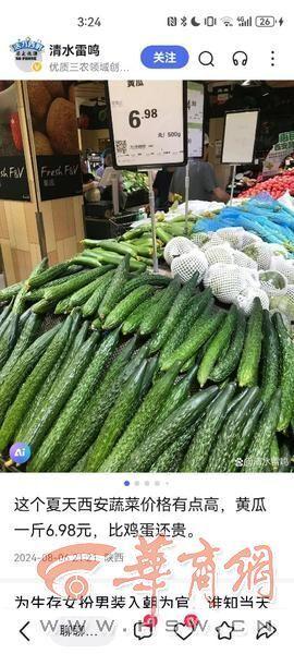 高石脆瓜今日价格走势,今日走势解析