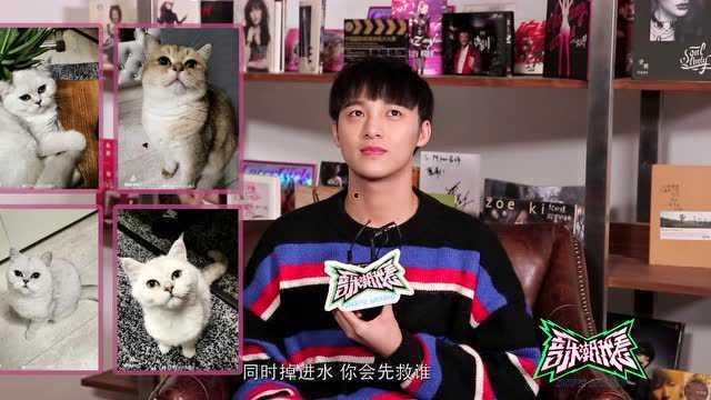 明星网红唱歌搞笑视频,明星网红歌唱搞笑视频大盘点