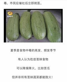 白姨黑历史吃瓜,那些被遗忘的黑历史与吃瓜瞬间