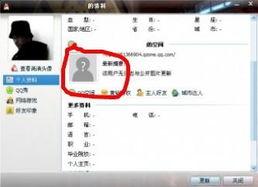 吃瓜黑料群号QQ,吃瓜黑料QQ群号背后的秘密与热议