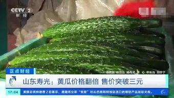 寿光小瓜今日价格行情,今日行情一览”