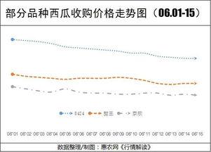 今日高瓜价格行情走势,今日行情走势解析