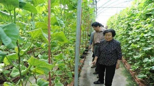 榆次吃瓜最新事件爆料是真的吗,真相揭秘还是网络谣言？