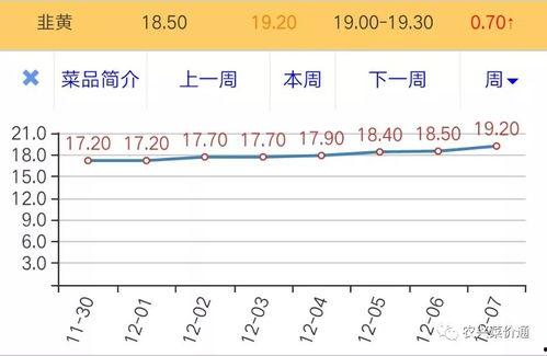 瓜州市场今日菜价表查询,新鲜蔬菜价格波动情况分析