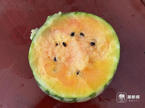 丽水今日吃瓜新闻视频最新,视频曝光引网友热议！