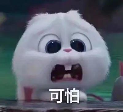 山东吃瓜爆料事件真相视频,揭秘真相背后的曲折历程