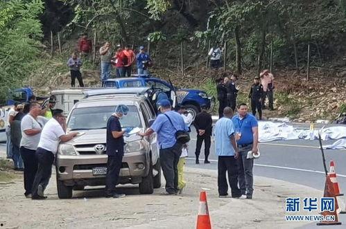 近期热门吃瓜事件魏县,揭秘近期热门吃瓜事件背后的真相