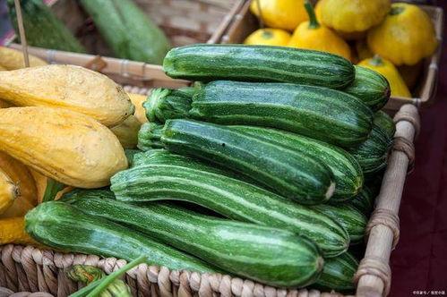 今日寿光吊瓜价格表,今日寿光吊瓜价格波动分析