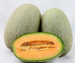 民勤哈密瓜价格今日价