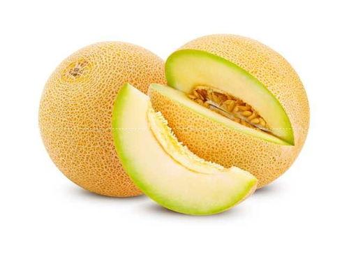 民勤哈密瓜价格今日价