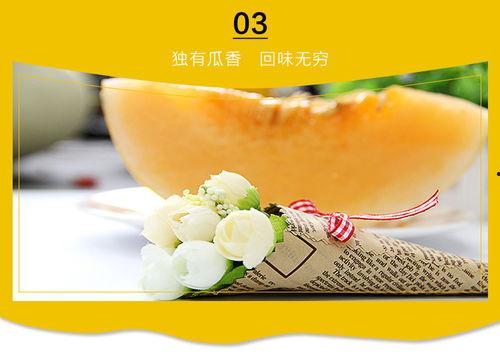 民勤蜜瓜今日报价,价格行情一览