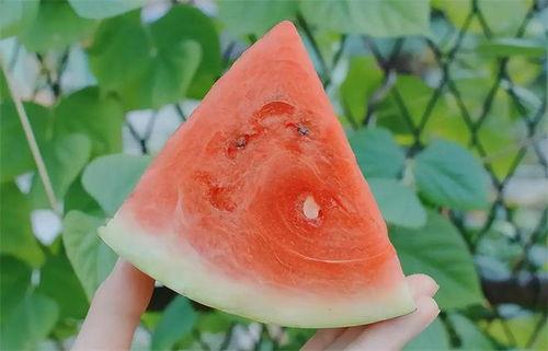 黑瓜能升血糖吗怎么吃,揭秘其升血糖效果及合理食用方法