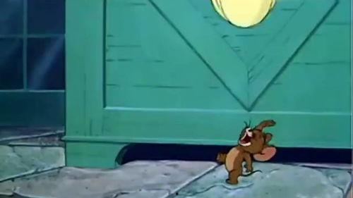 吃瓜爆料的汤姆是谁啊视频,揭秘“吃瓜爆料”视频主角汤姆的真实身份