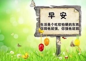今日摘瓜文案句子简短励志,今日启航