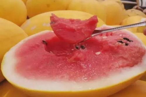 宁夏今日零售瓜价,今日零售瓜价一览”