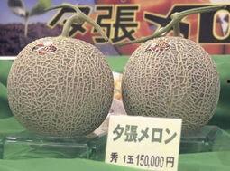 高碑店蜜瓜今日价格行情,价格行情一览