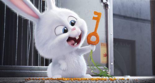 黑料吃瓜困困兔直播,困困兔直播带你揭秘娱乐圈幕后真相