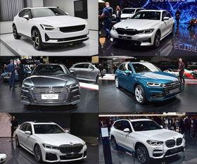 明星网红电动汽车,绿色出行引领时尚风潮