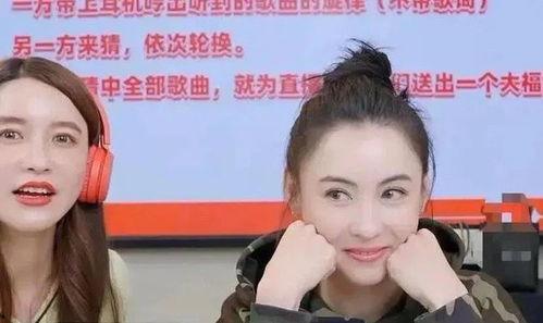 打击明星网红的句子,净化网络环境