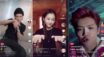 图片识别明星网红视频,从图片到视频的华丽蜕变