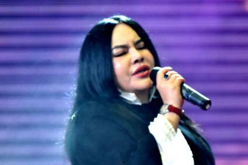 明星网红音乐有哪些,盘点热门歌曲与流行趋势