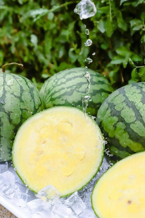 51黑瓜吃料网最新官网,揭秘最新官网，带你畅游美食资讯海洋