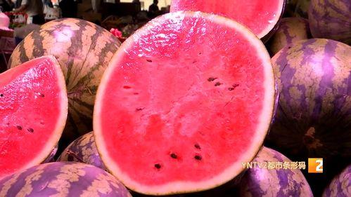 云南今日嫩瓜价格行情,涨跌互现，市场供需动态分析