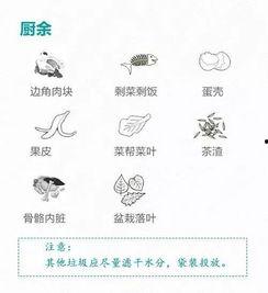 热门瓜热搜排行榜,揭秘近期网络热议焦点