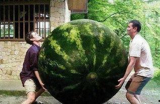 现在热门大瓜,某明星恋情曝光，背后真相令人震惊