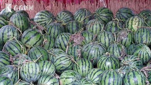 现在热门大瓜,某明星恋情曝光，背后真相令人震惊