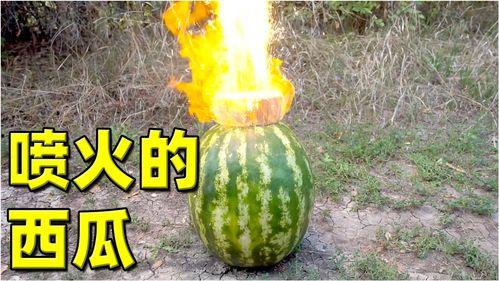 最热门大瓜,揭秘明星背后的惊人真相