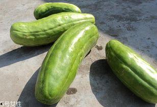 吃黑脆瓜减肥吗,轻松享瘦的天然美食选择”