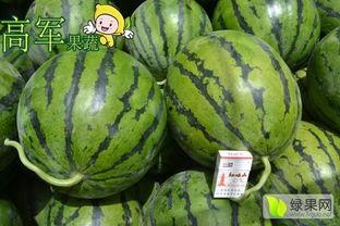 蒲城吊瓜今日价格查询网,市场行情实时更新