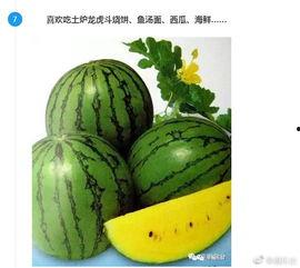 17c爆料吃瓜热门吃瓜,热门吃瓜事件，揭秘娱乐圈幕后真相