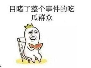 各种热门事件吃瓜事件,揭秘娱乐圈、社会热点背后的真相