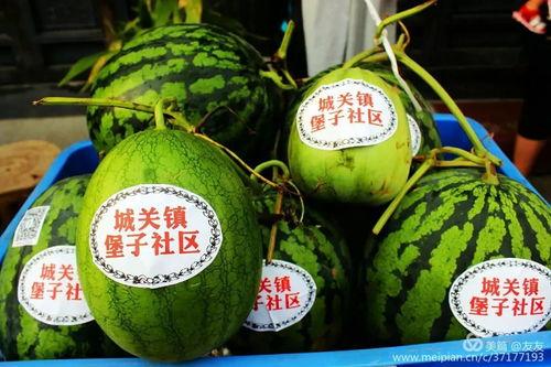 热门推瓜,揭秘网络热议背后的热点事件