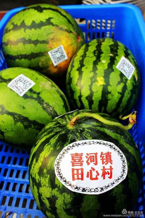 热门推瓜,揭秘网络热议背后的热点事件