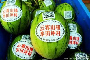 热门推瓜,揭秘网络热议背后的热点事件