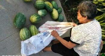 西昌近期热门吃瓜事件,揭秘近期热门吃瓜事件背后的真相